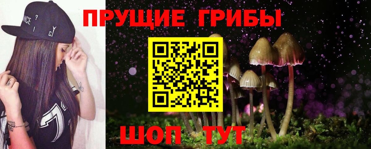 Миасс  Галлюциногенные грибы мицелий  Вход с VPN  Галлюциногенные грибы Magic Shrooms 